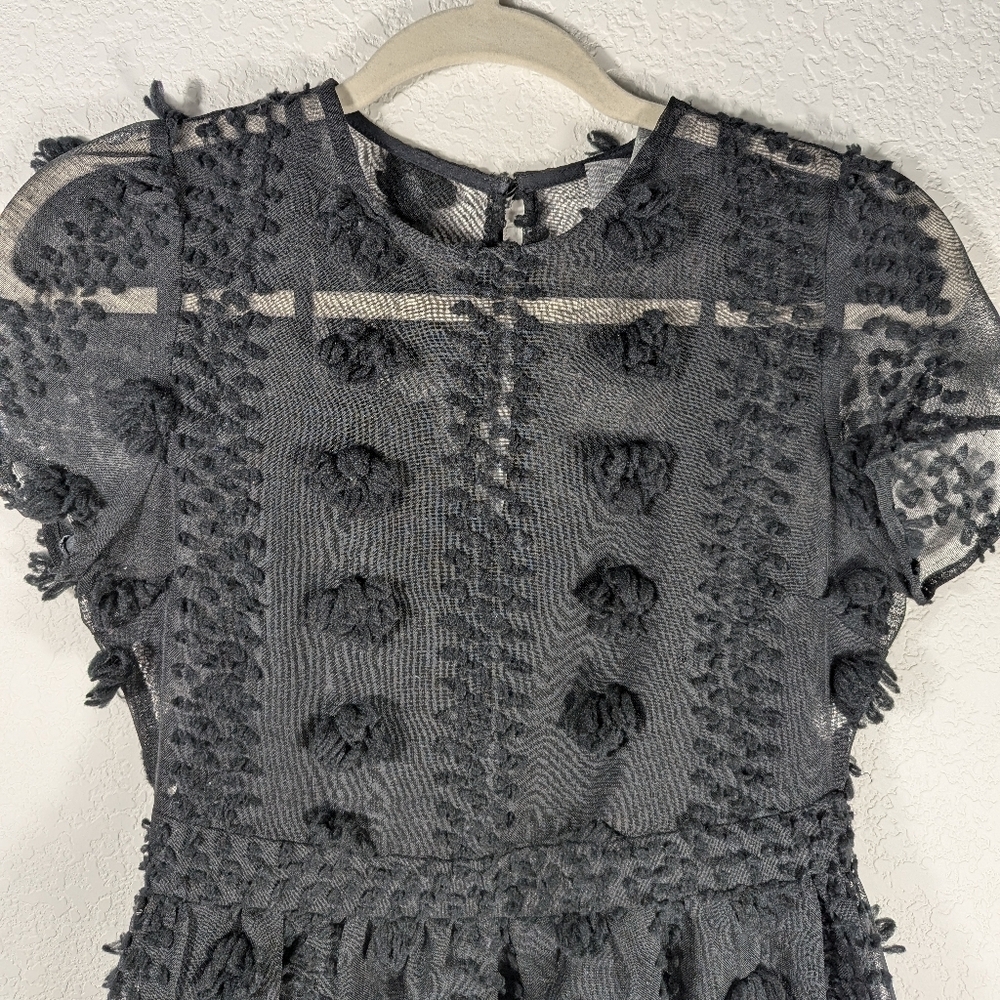 Anthropologie Sunday in Brooklyn Black Sheer Mesh Floral Appliqué Mini Dress 0 - Picture 13 of 15
